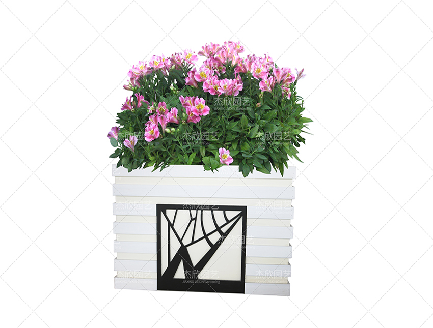 組合花箱中有哪些創(chuàng)意款式？